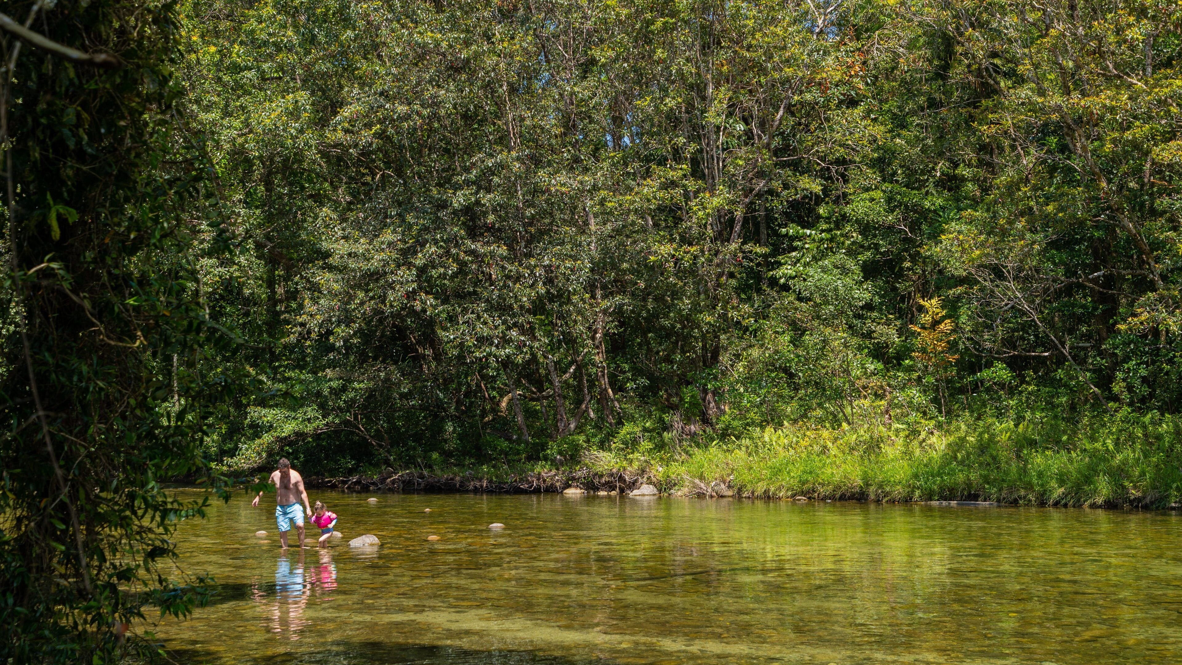 Babinda Boulders which includes swimming, a pond and a lake or waterhole
