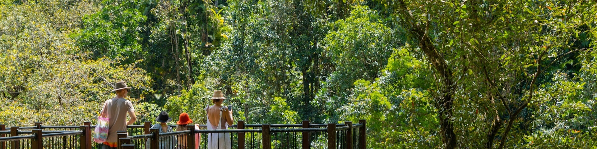 Babinda Boulders showing forests and views as well as a family