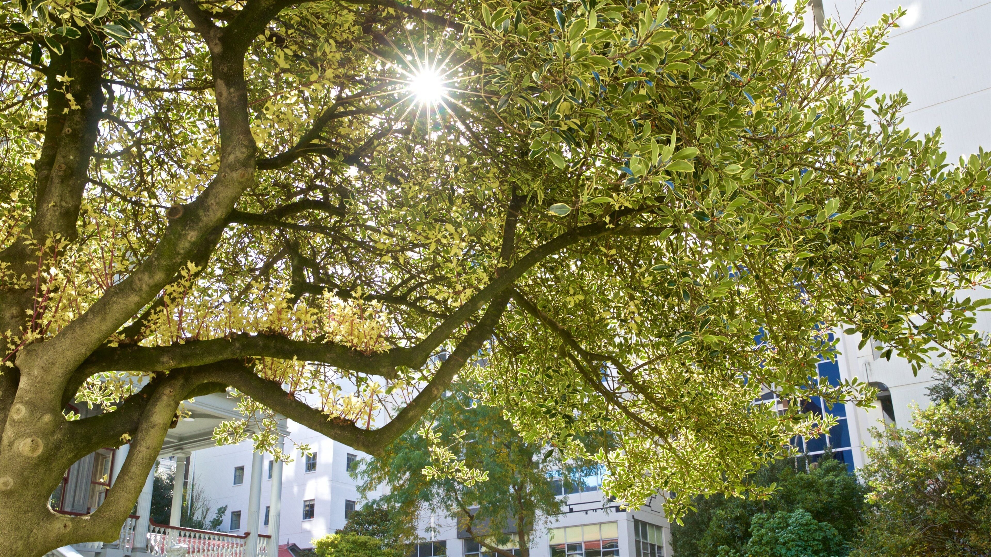 Antrim House showing a sunset