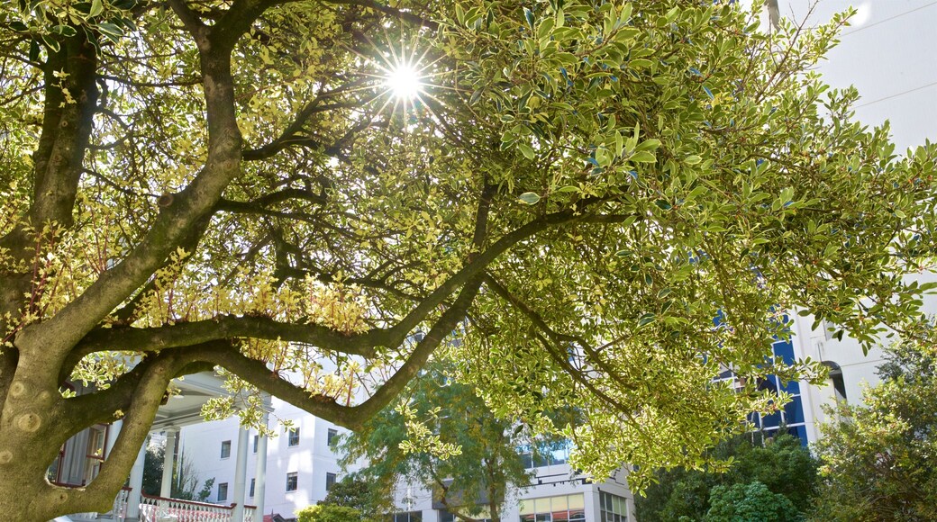 Antrim House showing a sunset