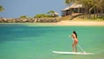 Iemand staat op een paddleboard op helder turquoise water, met een strand en palmbomen op de achtergrond.