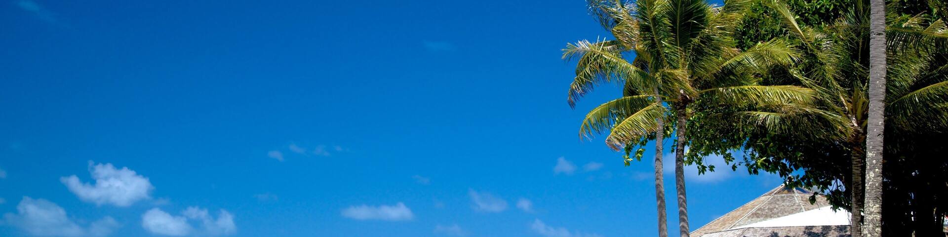 A beach with clear turquoise waters, a stone breakwater, palm trees, and a modern house with a thatched roof.