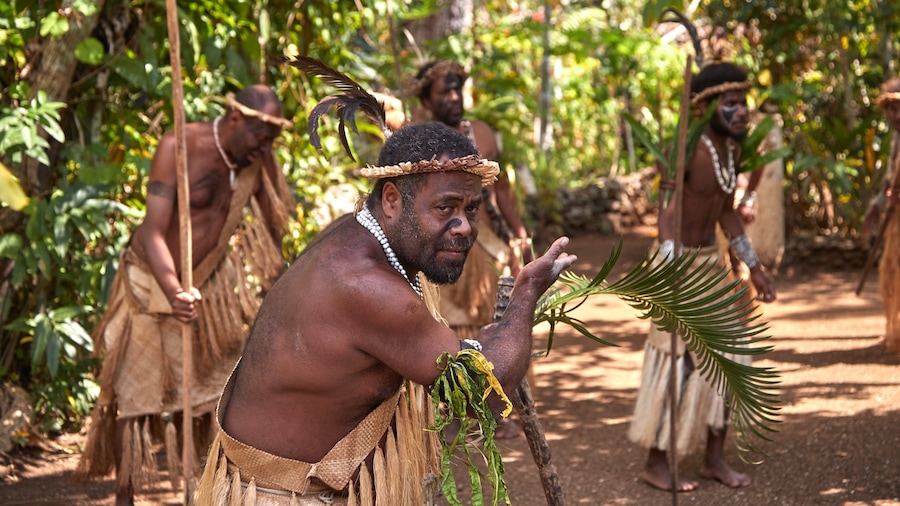 Ekasup Village featuring performance art, indigenous culture and a small town or village