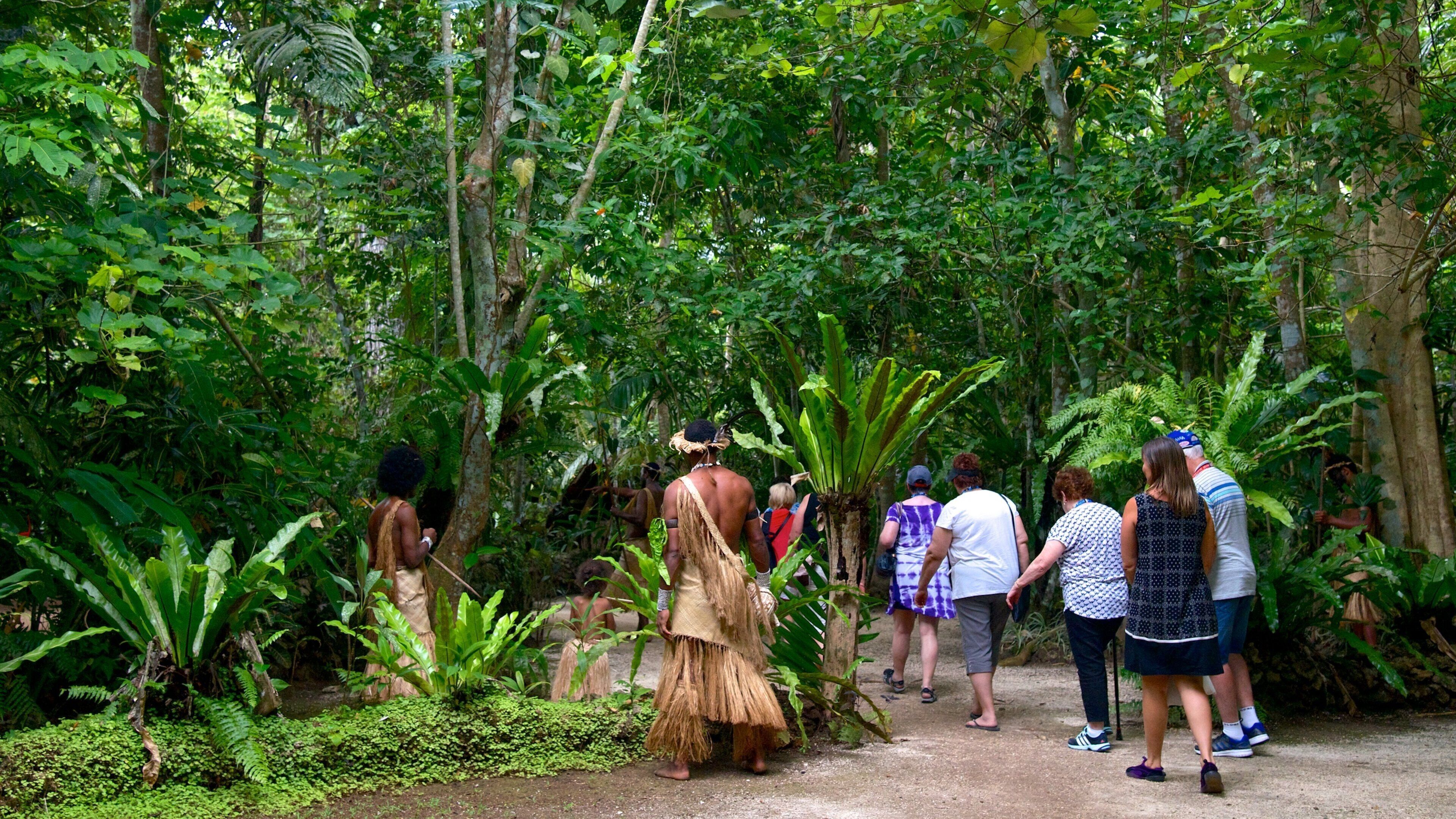 A group of people walking through a dense, tropical forest with various types of vegetation and trees.