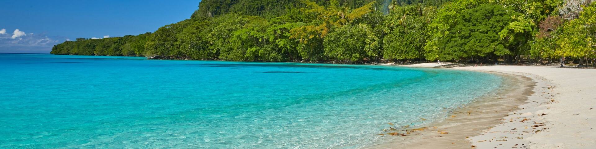 A turquoise beach with clear water, sandy shore, and a forested hill in the background.