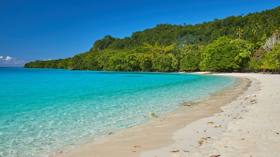 Espíritu Santo ofreciendo una playa y vistas de una costa