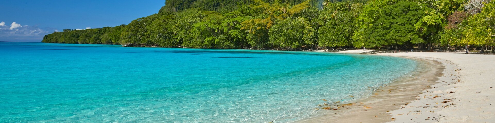 Espiritu Santo mostrando paisagens litorâneas e uma praia
