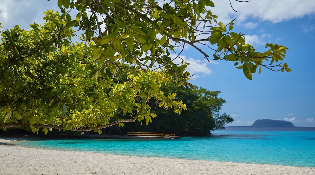 Champagne Beach ์ด ํฌํจ ์ผ๋ฐ ํด์ ์ ๊ฒฝ, ์์ด๋ ํ๊ฒฝ ๊ณผ ๋ชจ๋ ํด๋ณ