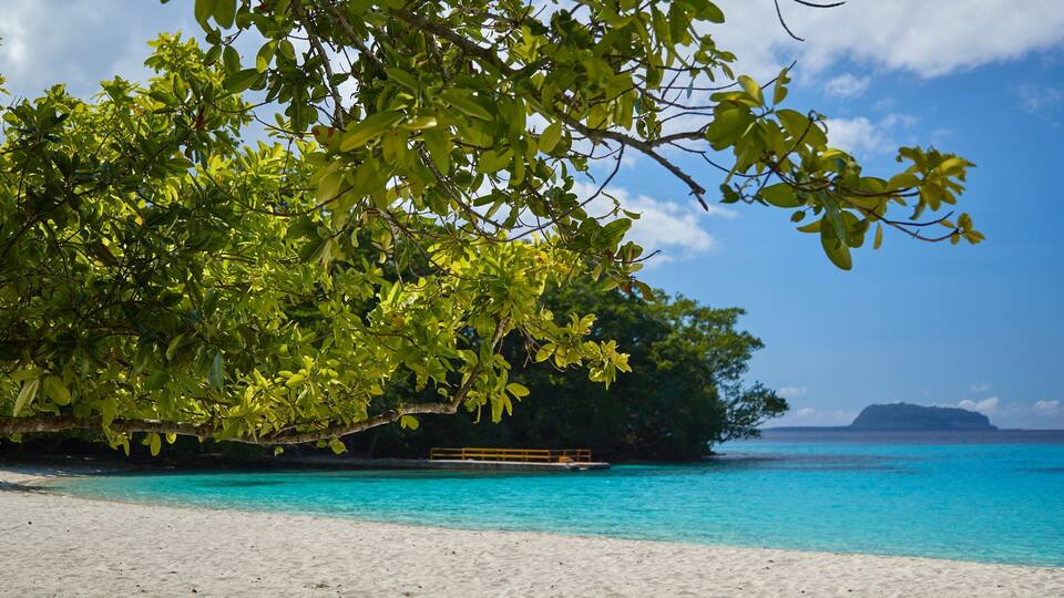 A beach with clear turquoise water, white sand, and lush green foliage.