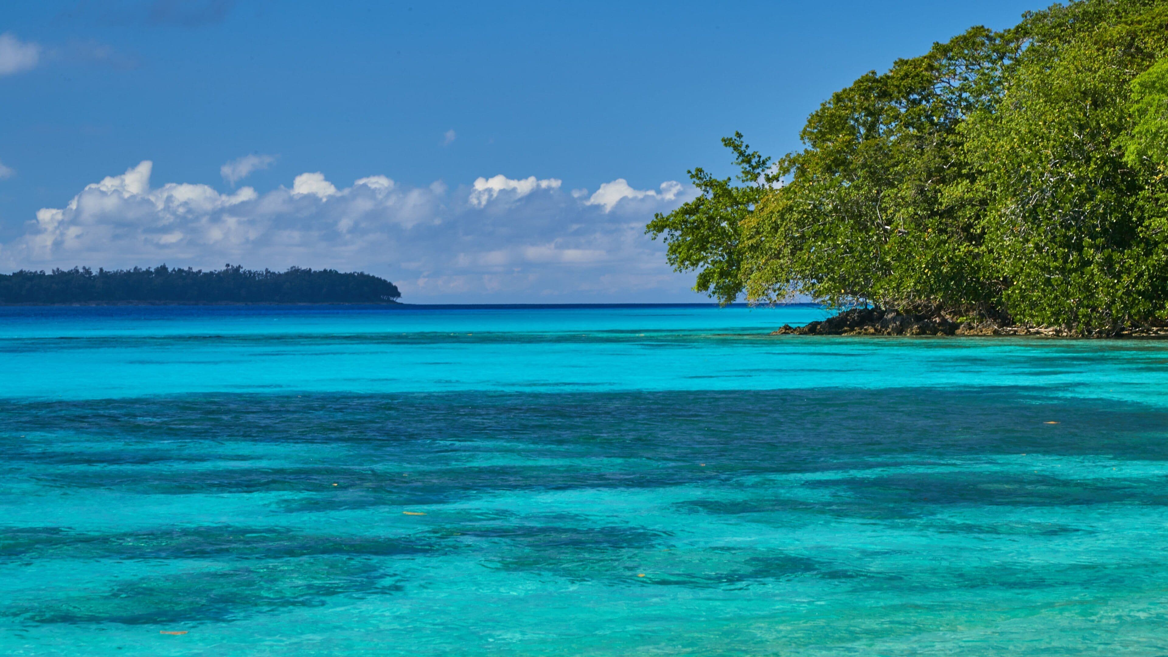 Espíritu Santo ofreciendo vistas de una costa y escenas tropicales