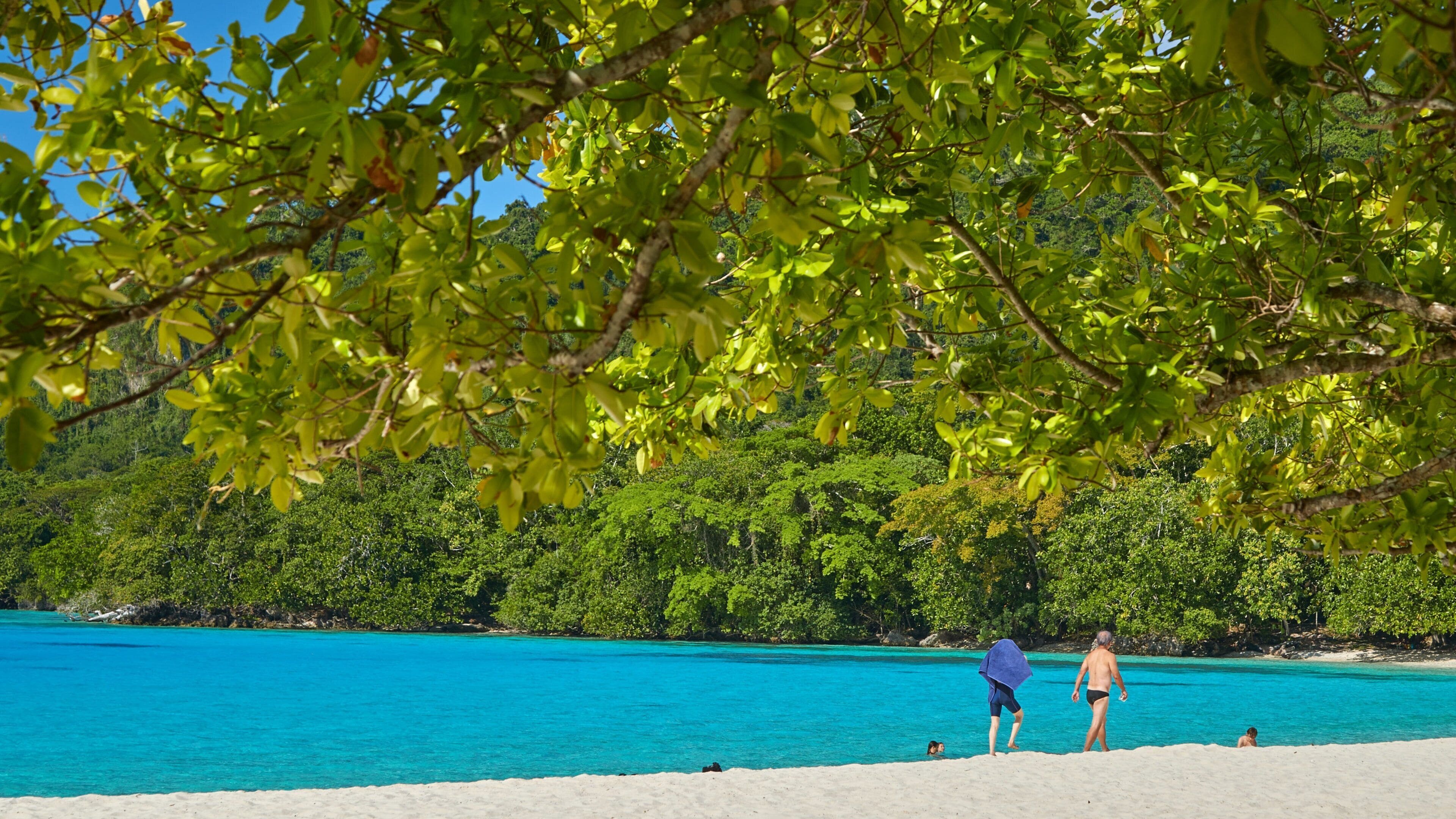 Espíritu Santo que incluye vistas de una costa y una playa y también un grupo pequeño de personas