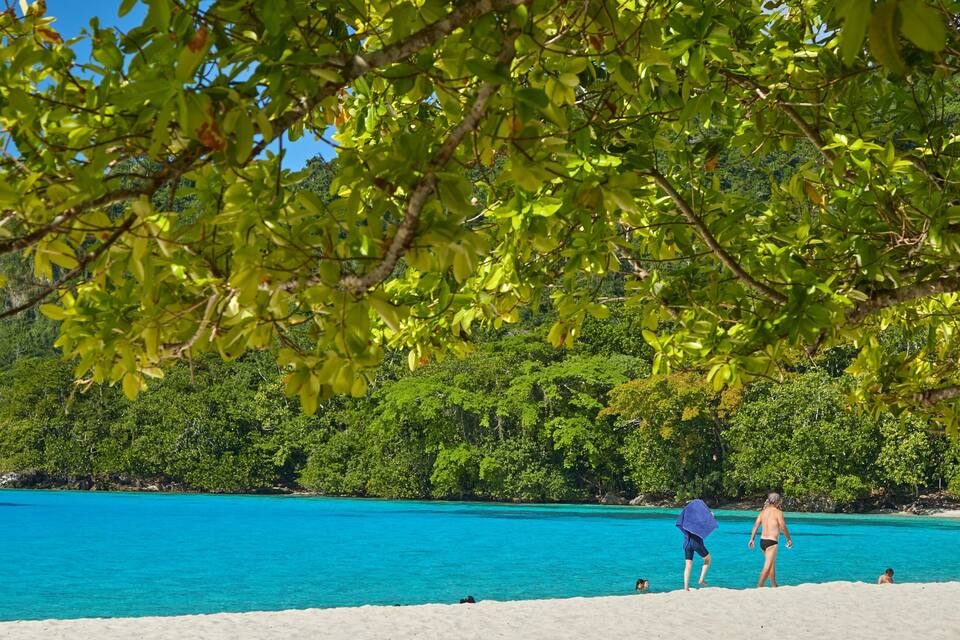Una playa con agua turquesa cristalina, una orilla arenosa y abundante vegetación verde al fondo.