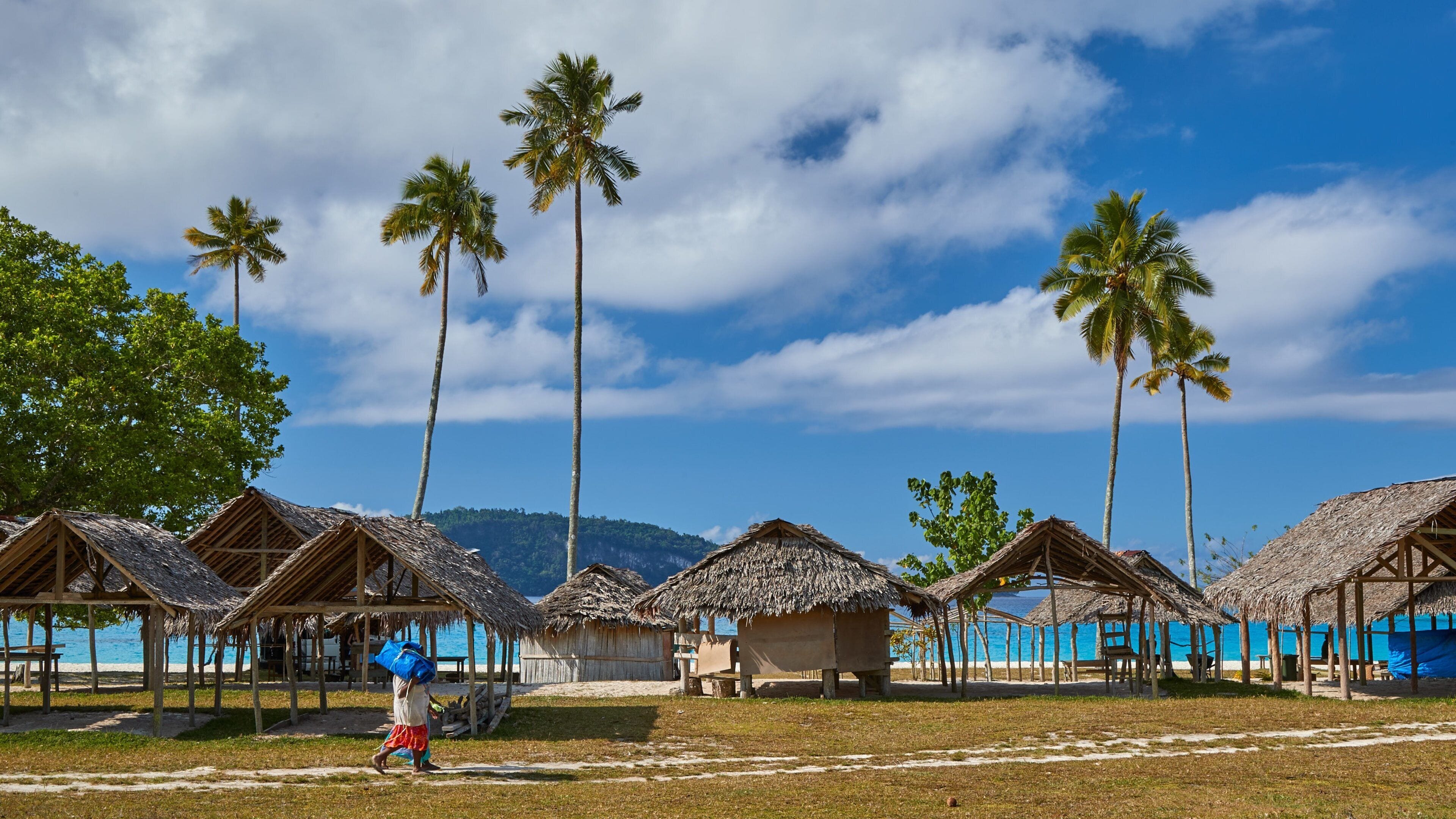 Champagne Beach fasiliteter samt kyst og tropisk landskap