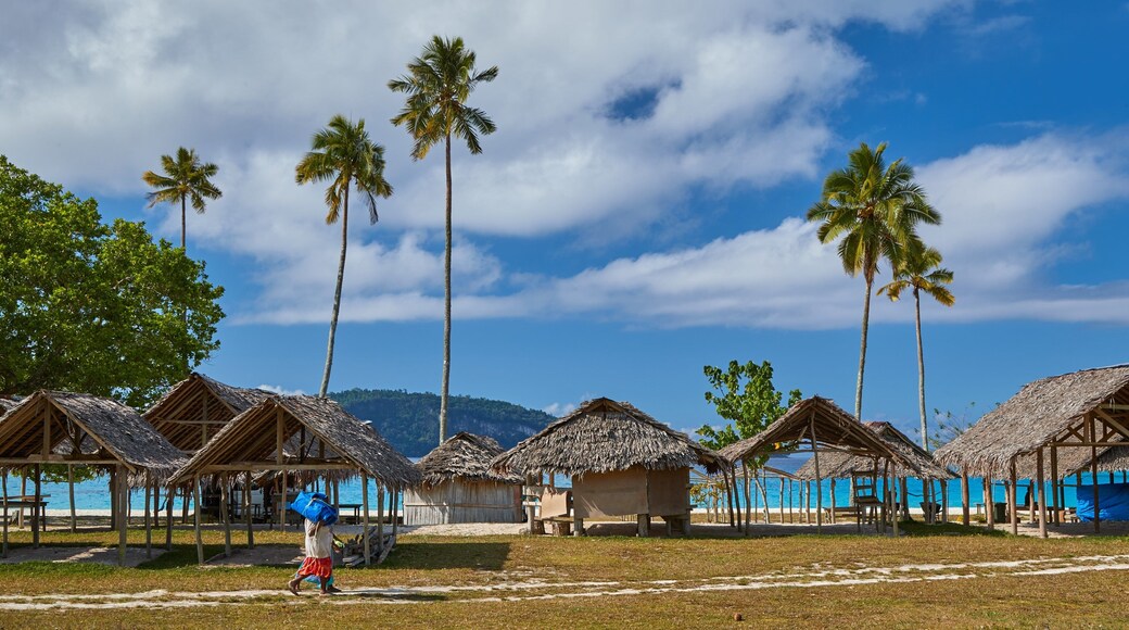 Champagne Beach fasiliteter samt kyst og tropisk landskap