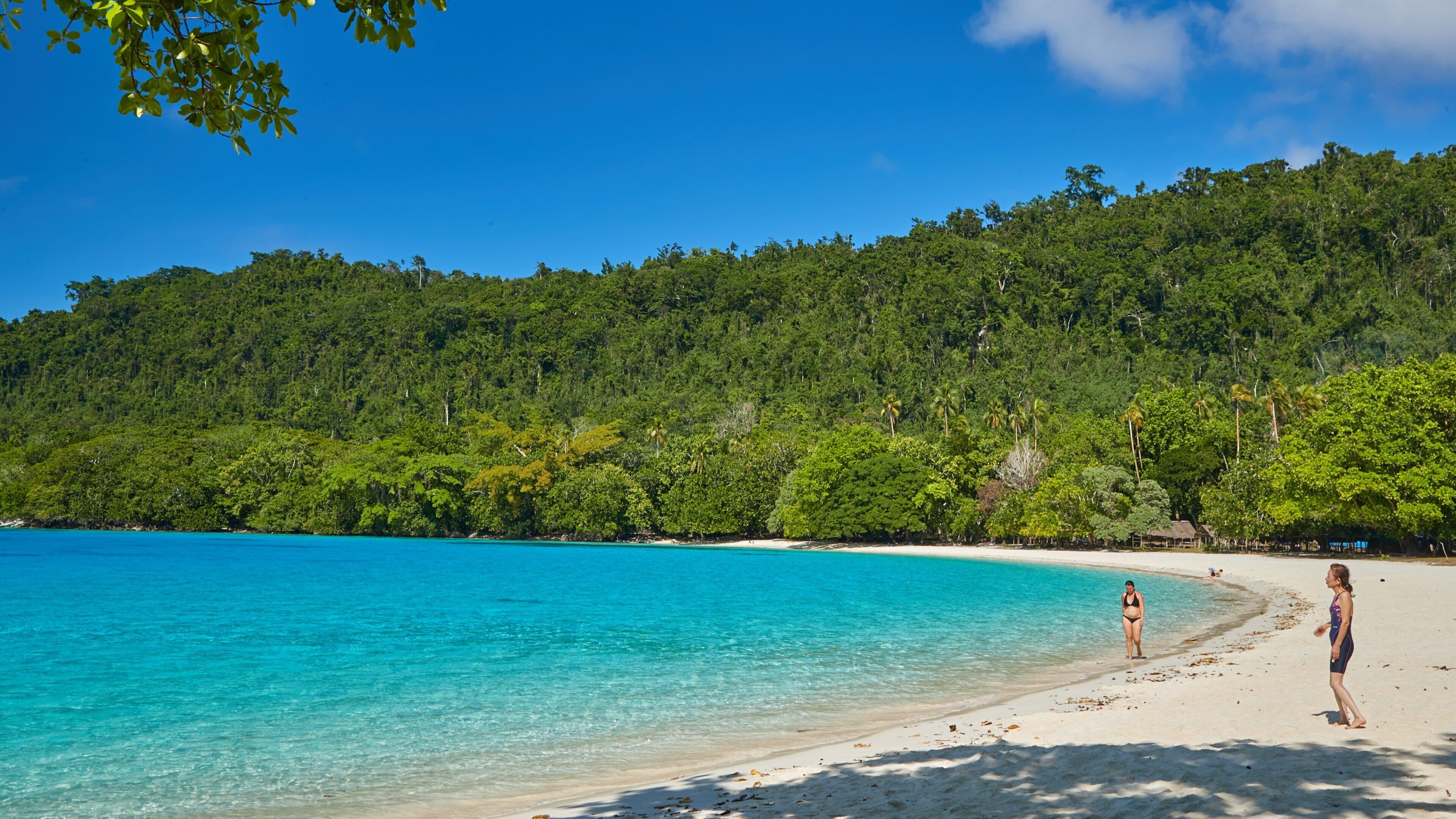 Espiritu Santo que inclui uma praia de areia e paisagens litorâneas