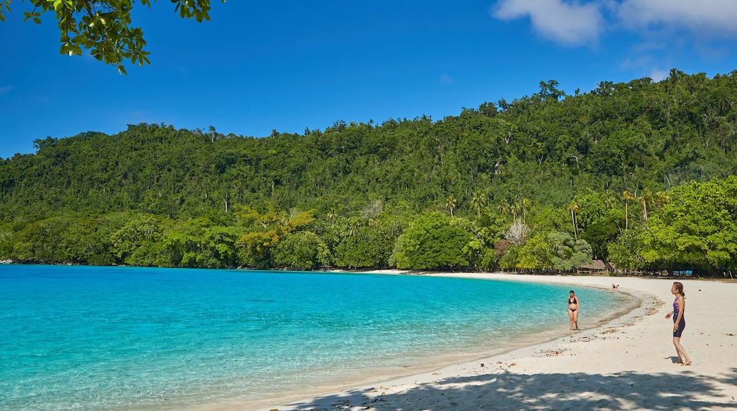 ์ด์คํผ๋ฆฌํฌ ์ฐํฌ ์ ๋ณด์ฌ์ฃผ๋ ์ผ๋ฐ ํด์ ์ ๊ฒฝ ๊ณผ ํด๋ณ