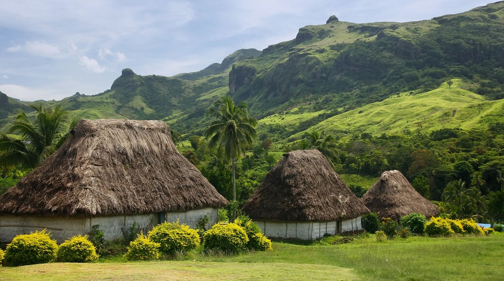 Traditional houses of Navala village, Viti Levu, Fiji