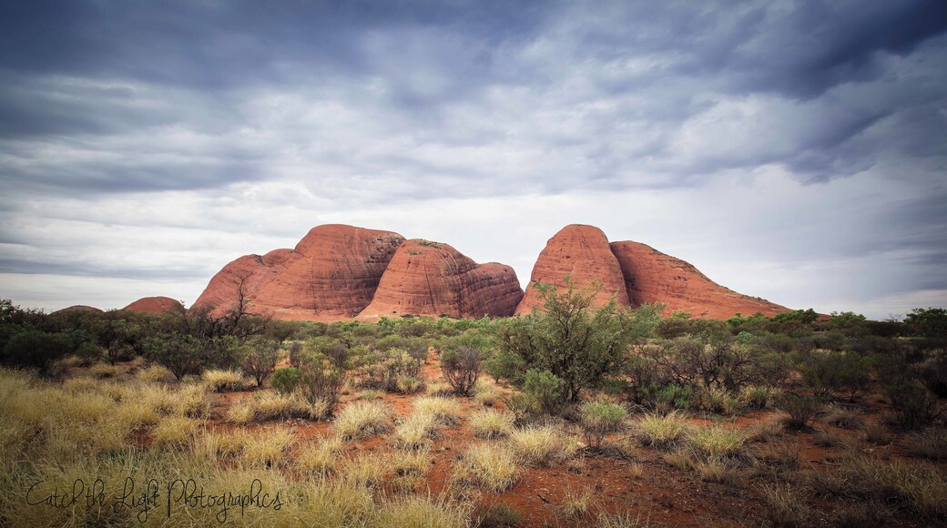 Lots of walking tracks but bring your fly nets as the flies are very thick.