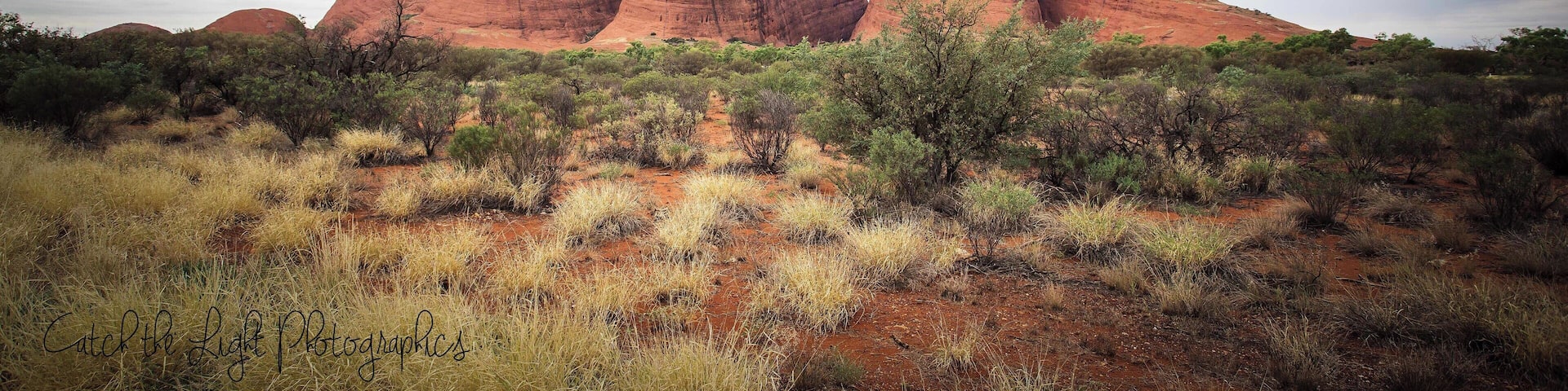 A desert landscape with prominent red rock formations and sparse green vegetation.