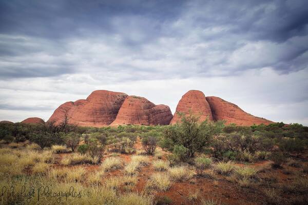 A desert landscape with prominent red rock formations and sparse green vegetation.