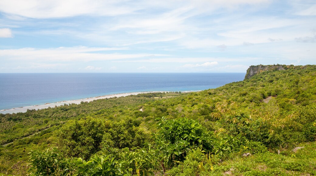 View of Ritidian point in Guam