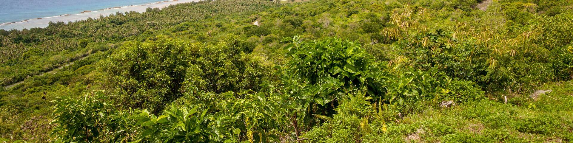 View of Ritidian point in Guam