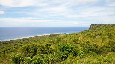 View of Ritidian point in Guam
