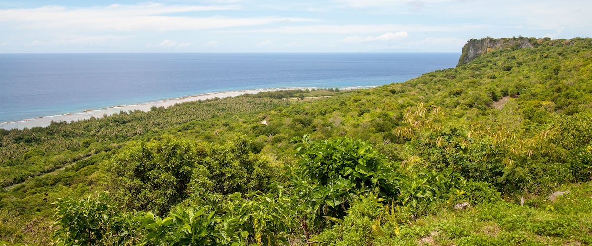 A coastal landscape with a beach, dense greenery, and a cliff.