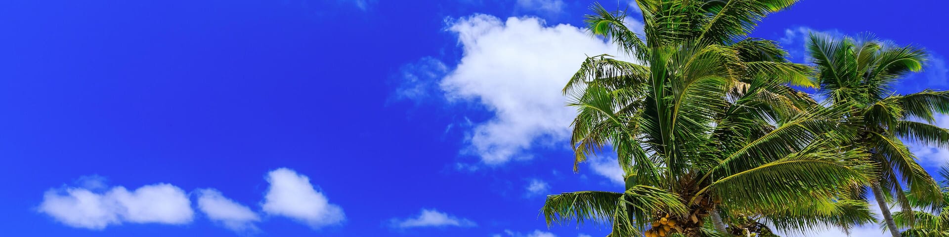 F70NJ0 Beach with palm trees over tropical water at Muri lagoon, Rarotonga, Cook Islands