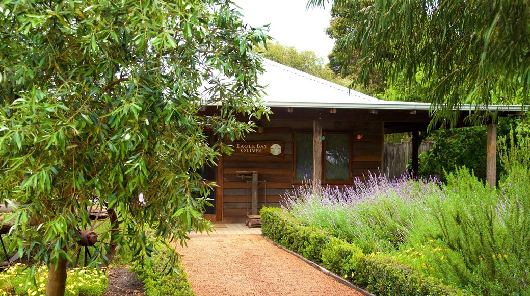 Naturaliste featuring a house, flowers and a garden