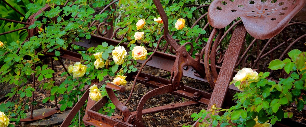Naturaliste presenterar blommor, en park och historiska element