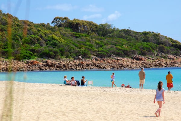 Naturaliste qui includes côte rocheuse et plage aussi bien que petit groupe de personnes