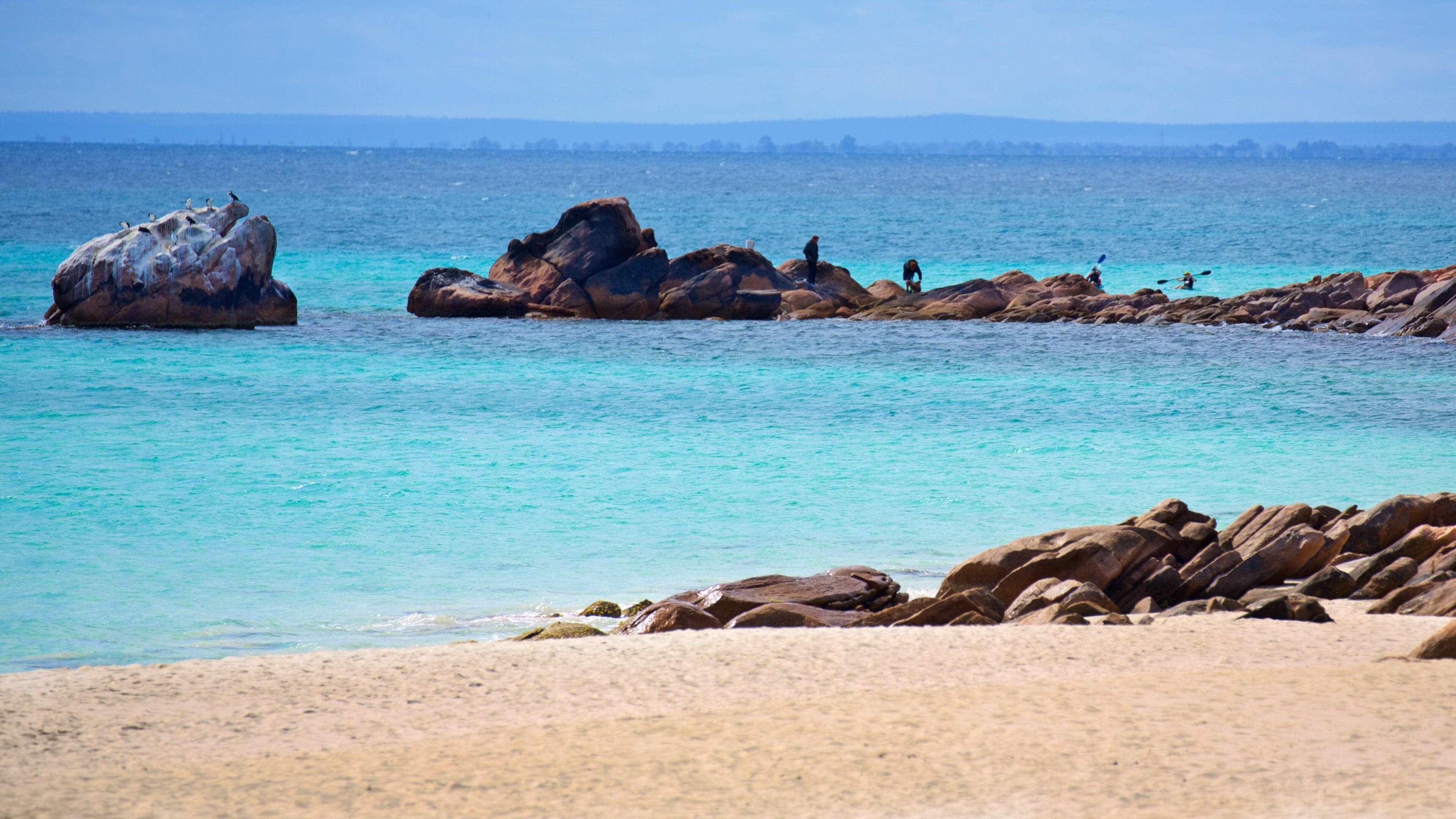 Naturaliste which includes rugged coastline and a beach