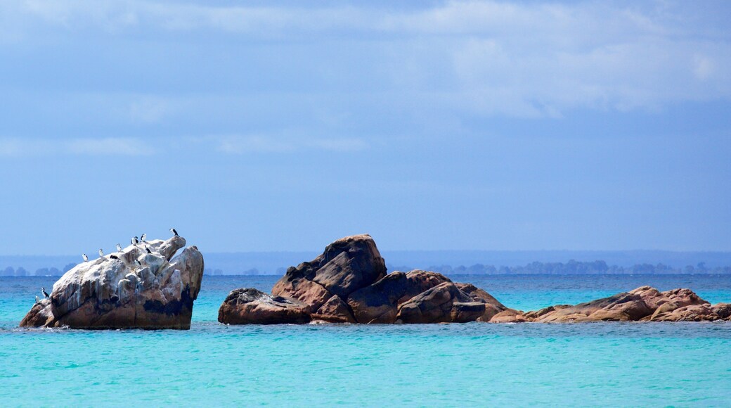 Naturaliste which includes rugged coastline