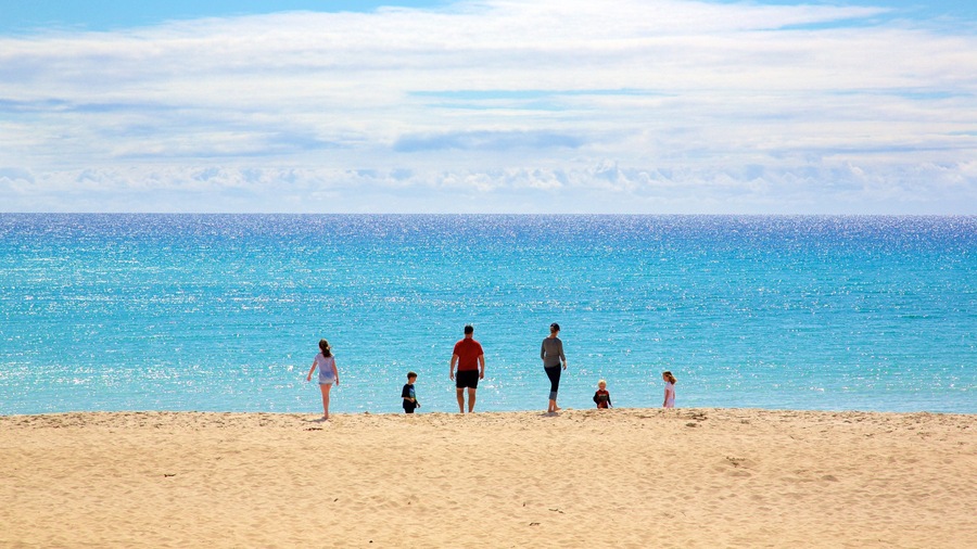 Meelup Beach which includes a sandy beach as well as a small group of people