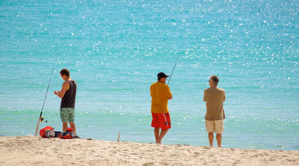 Naturaliste caratteristiche di spiaggia e pesca cosi come un piccolo gruppo di persone