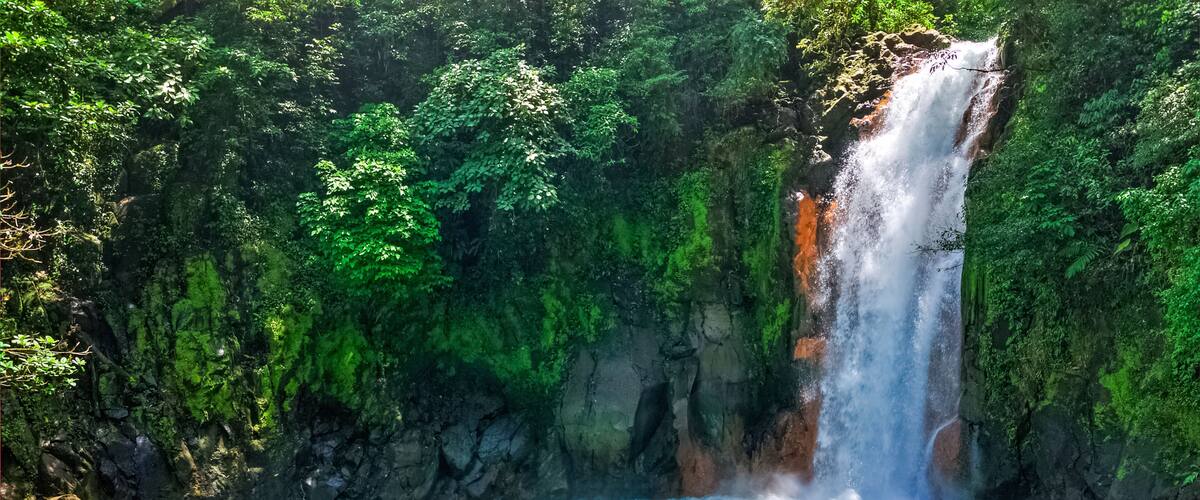 A waterfall cascading into a turquoise pool surrounded by lush greenery.