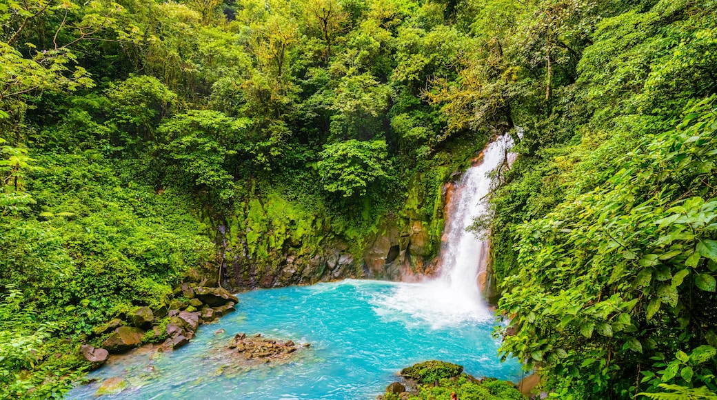 Rio Celeste Waterfall and pond in Tenorio Volcano National Park, Alajuela Province, Costa Rica