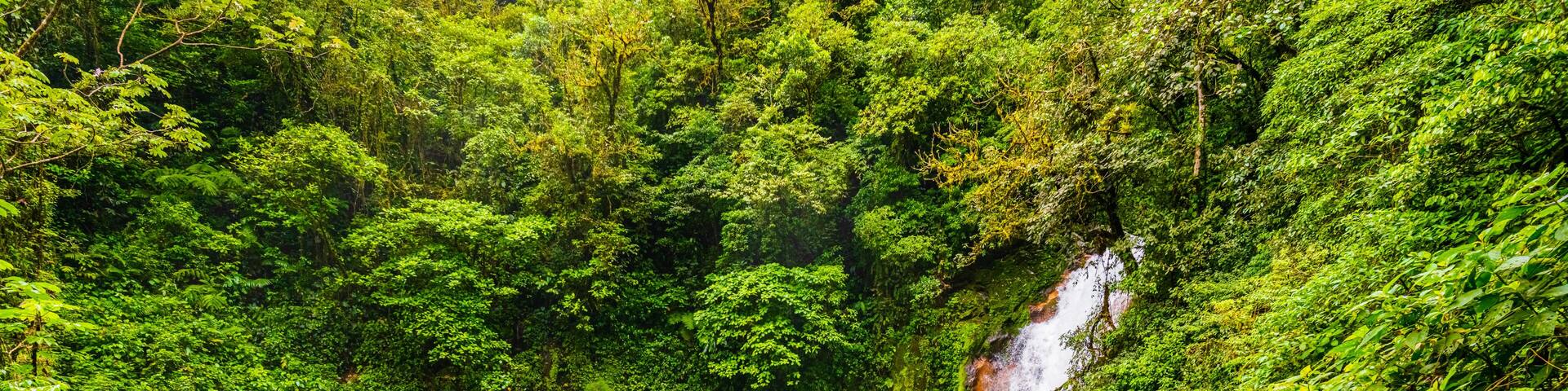 Rio Celeste Waterfall and pond in Tenorio Volcano National Park, Alajuela Province, Costa Rica