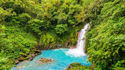 Rio Celeste Waterfall and pond in Tenorio Volcano National Park, Alajuela Province, Costa Rica
