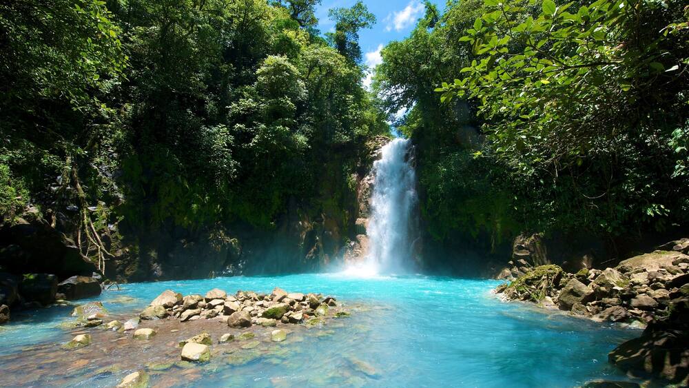 A waterfall surrounded by dense green foliage and clear blue water.