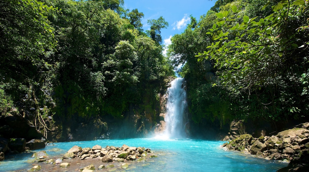 Tenorio Waterfall, Costa Rica