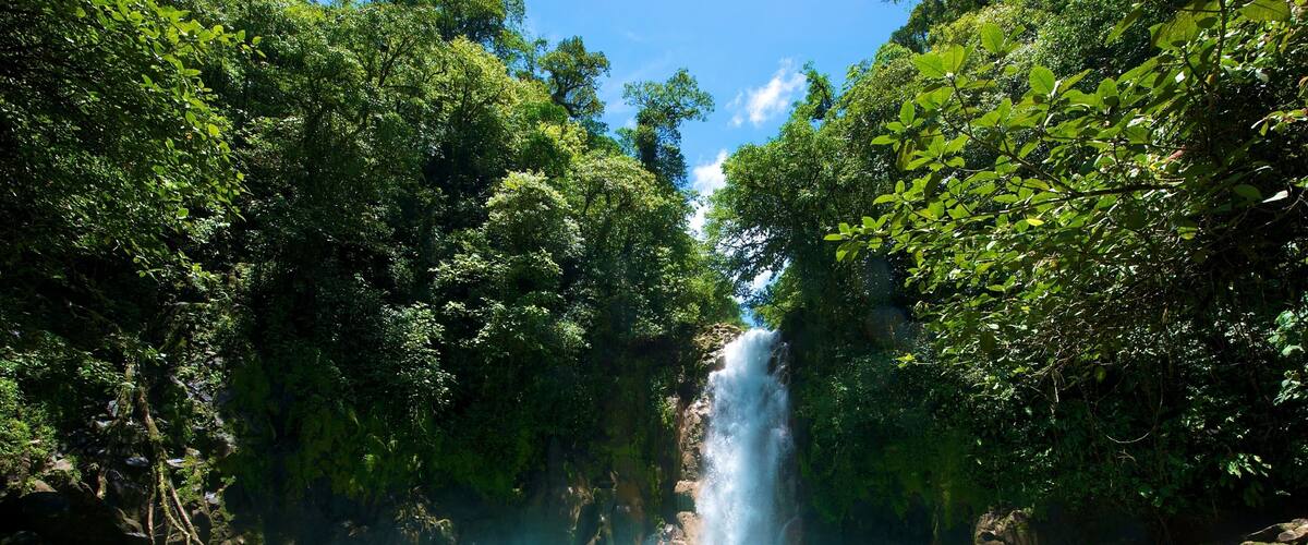 Une cascade entourée d’une végétation luxuriante et d’une eau d’un bleu cristallin.