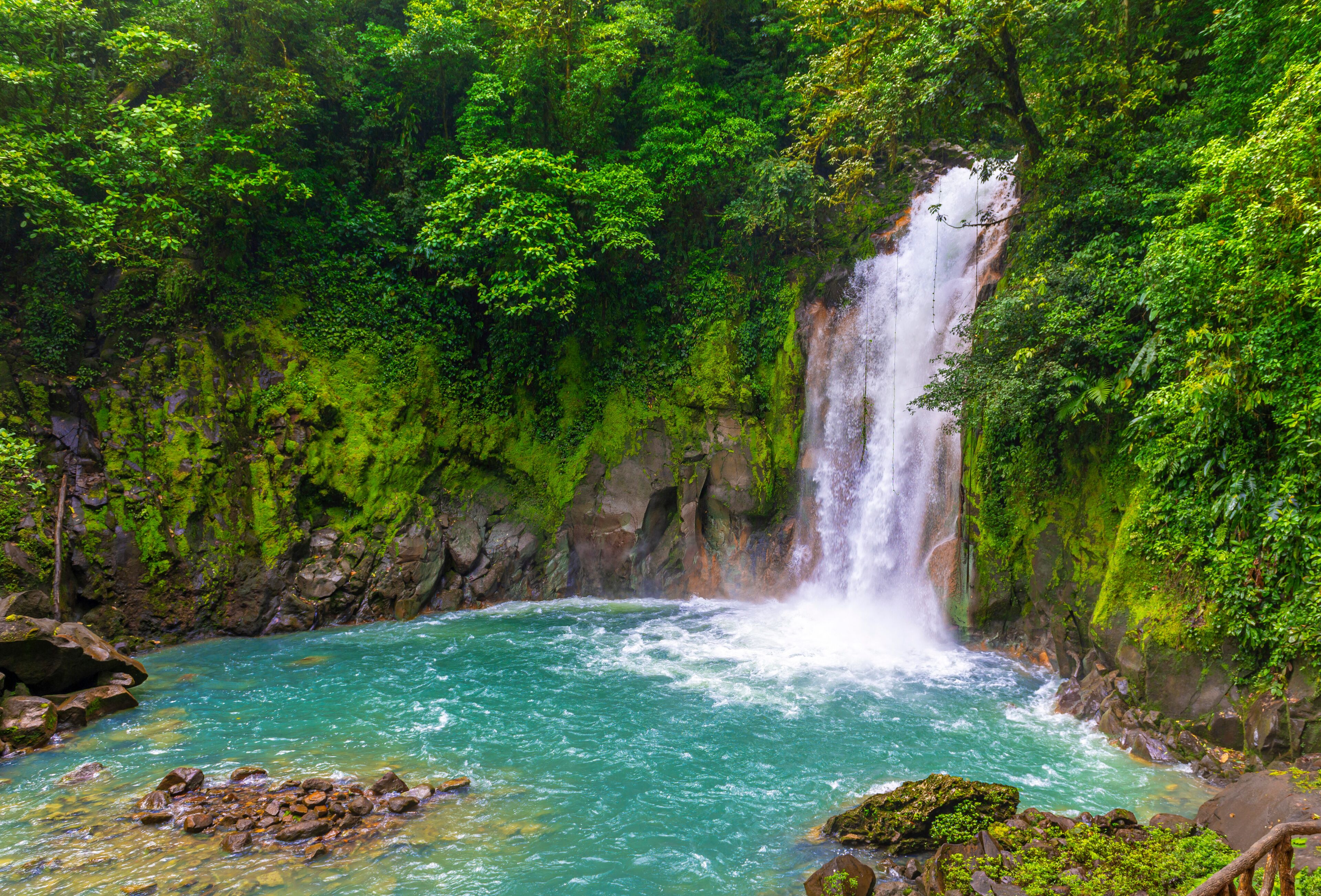 A waterfall cascading into a turquoise river surrounded by lush green forest.