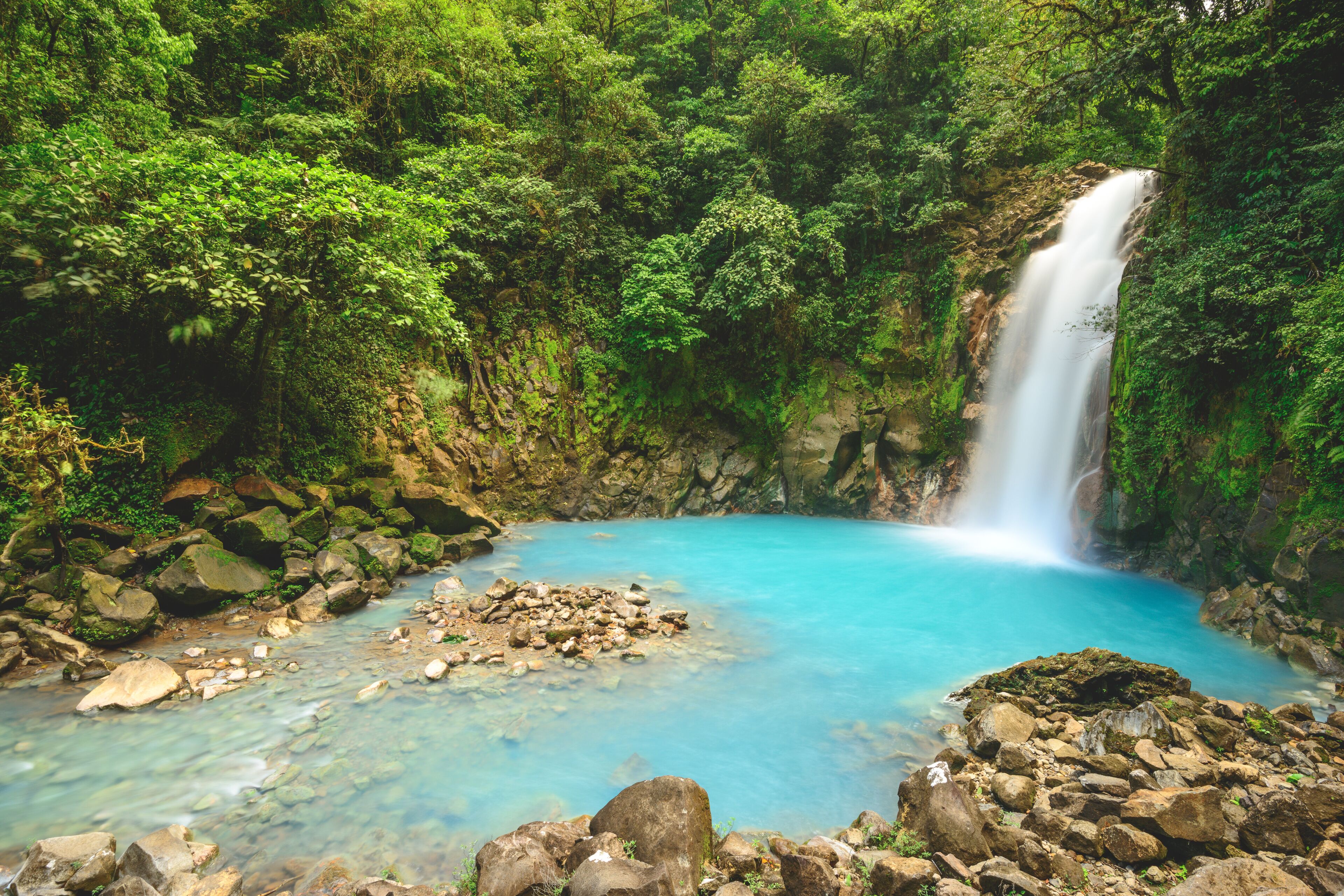A waterfall cascading into a clear blue pool surrounded by lush greenery.