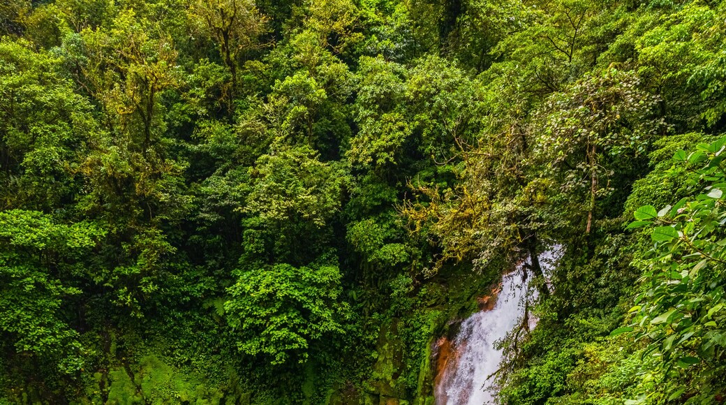 Rio Celeste Waterfall and pond in Tenorio Volcano National Park, Alajuela Province, Costa Rica