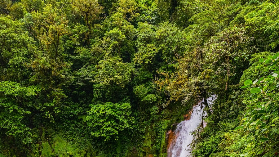 Cascade de Rio Celeste