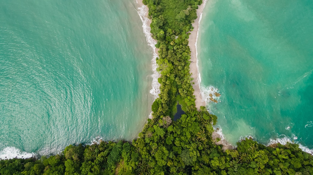 마누엘 안토니오 자연 공원 및 야생동물 보호구역