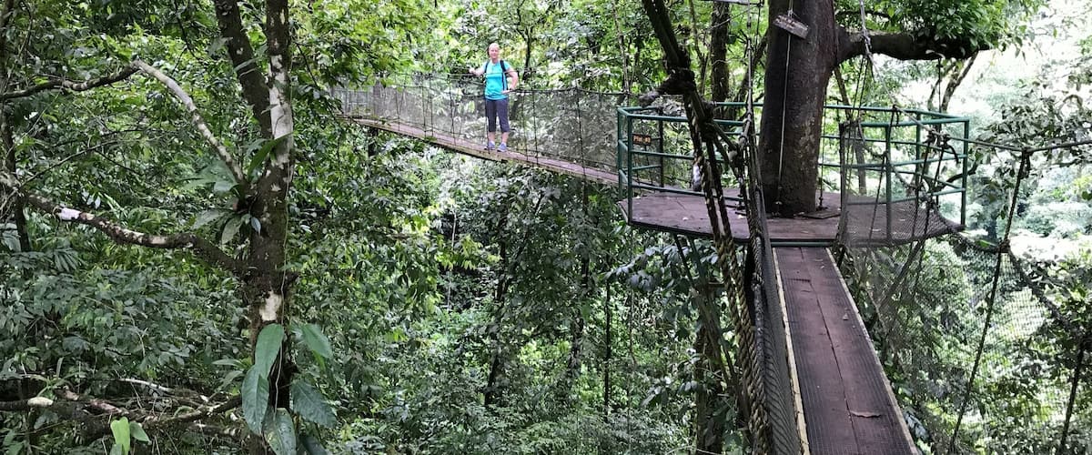 Amazing rainforest trail with robe bridges, waterfalls and swim holes. Easy trail for anyone( about 2 hour loop) . Breathtaking views.