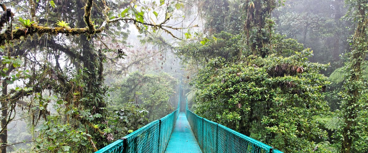 Rain forest in Monteverde, Costa Rica, Central America